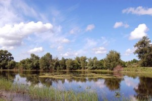 Волгоградская «Концессия водоснабжения» заплатит за отходы 280 тысяч рублей